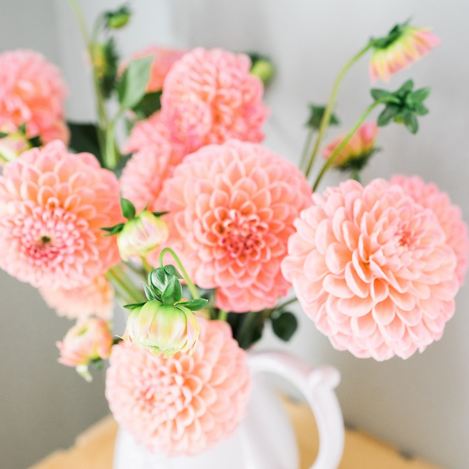 Blumen