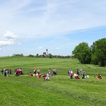 Eine Rast mitten im Grünen                        