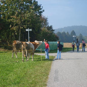Herbstwanderung 