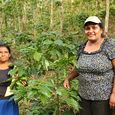 Juana Aydas Villareyna Acuna (r.) zeigt stolz ihre Kaffeepflanzen