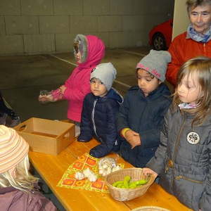 Markttag Kindergarten