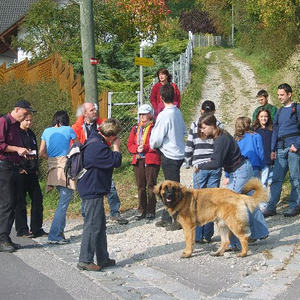 Herbstwanderung 